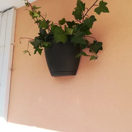Affittacamere My Portimão