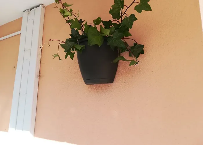 Pensjonat My Portimão